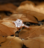 Oval Cut Lab Grown Engagement Ring Rose Gold Solitaire Cluster Diamond Women Bridal Anniversary Pave Handmade Ring Half Eternity